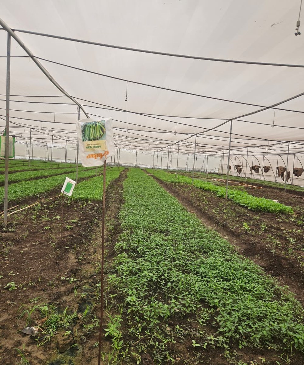 Nursery and crop production activity at Krushivishva FPC