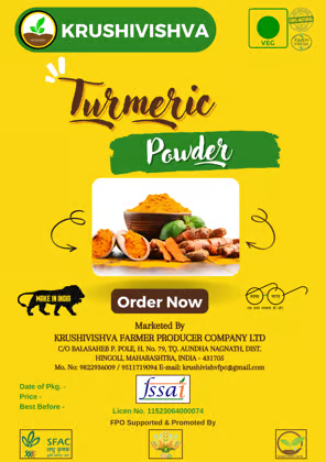 Krushivishva turmeric powder